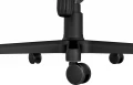15.webp