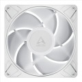 P14_Pro_ARGB_white_g01.jpg