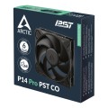 P14_Pro_PST_CO_g05.jpg