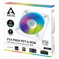 P14_PWM_PST_ARGB_0dB_G03_FAKE.jpg