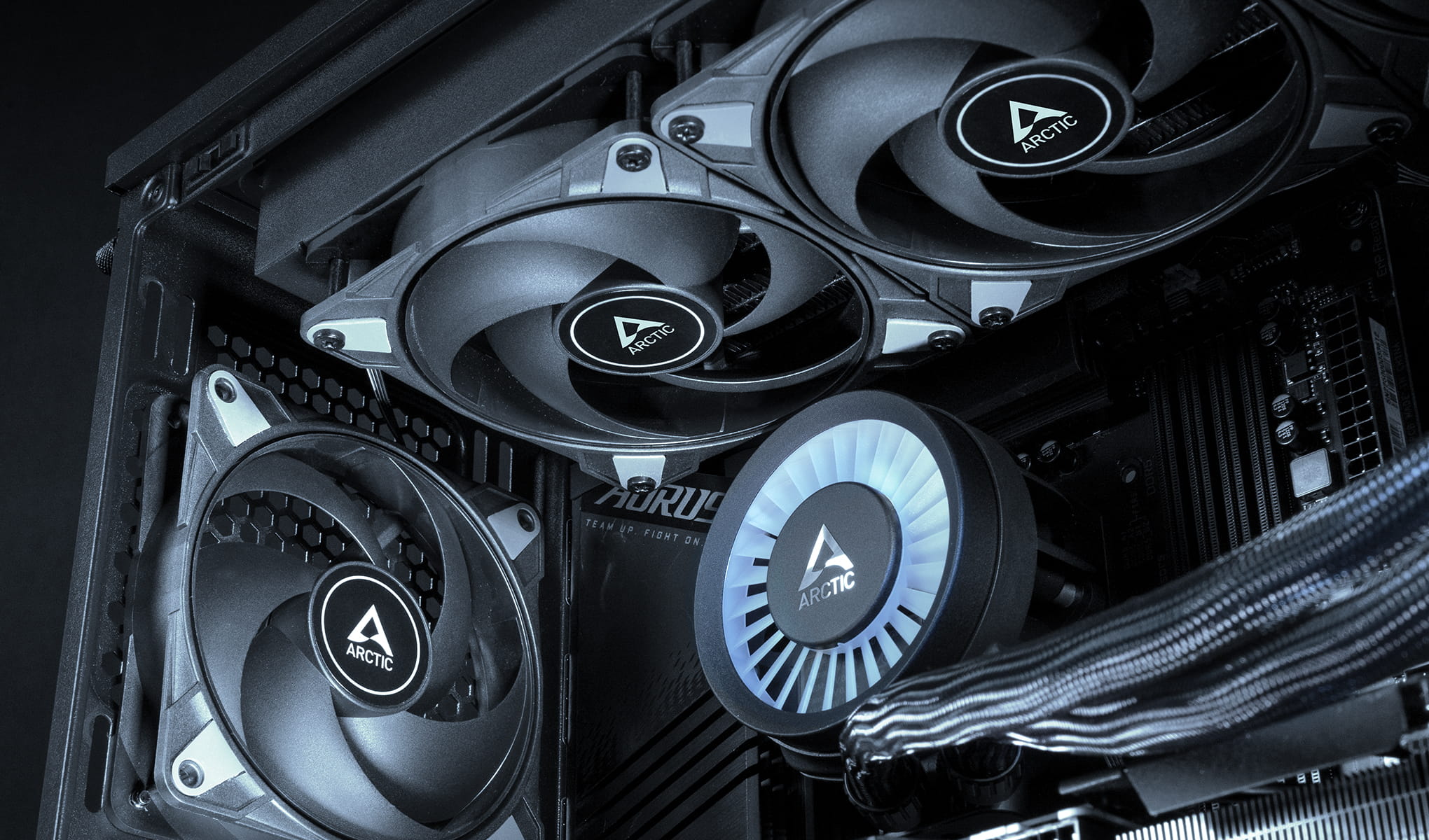 Arctic P12 Max Performance