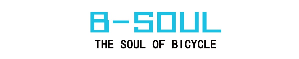 B-SOUL